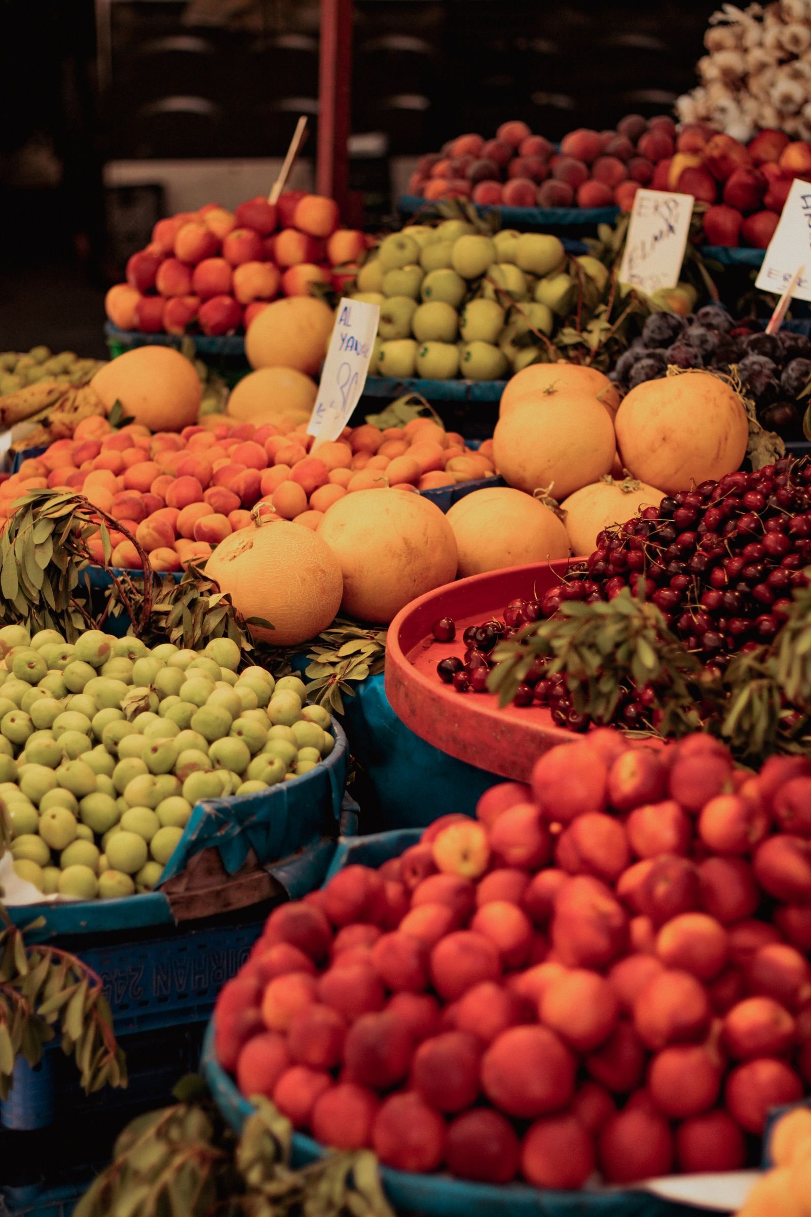 A Saturday Market Morning on the Gulf Coast, Season by Season