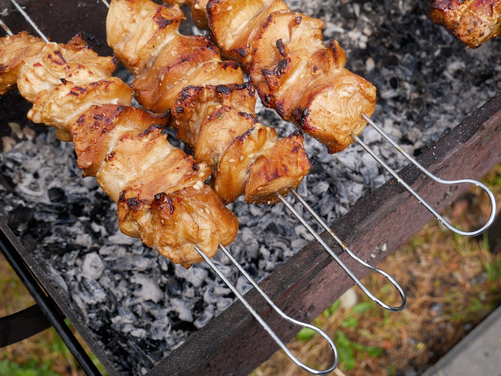 Charcoal-Grilled Chicken Skewers