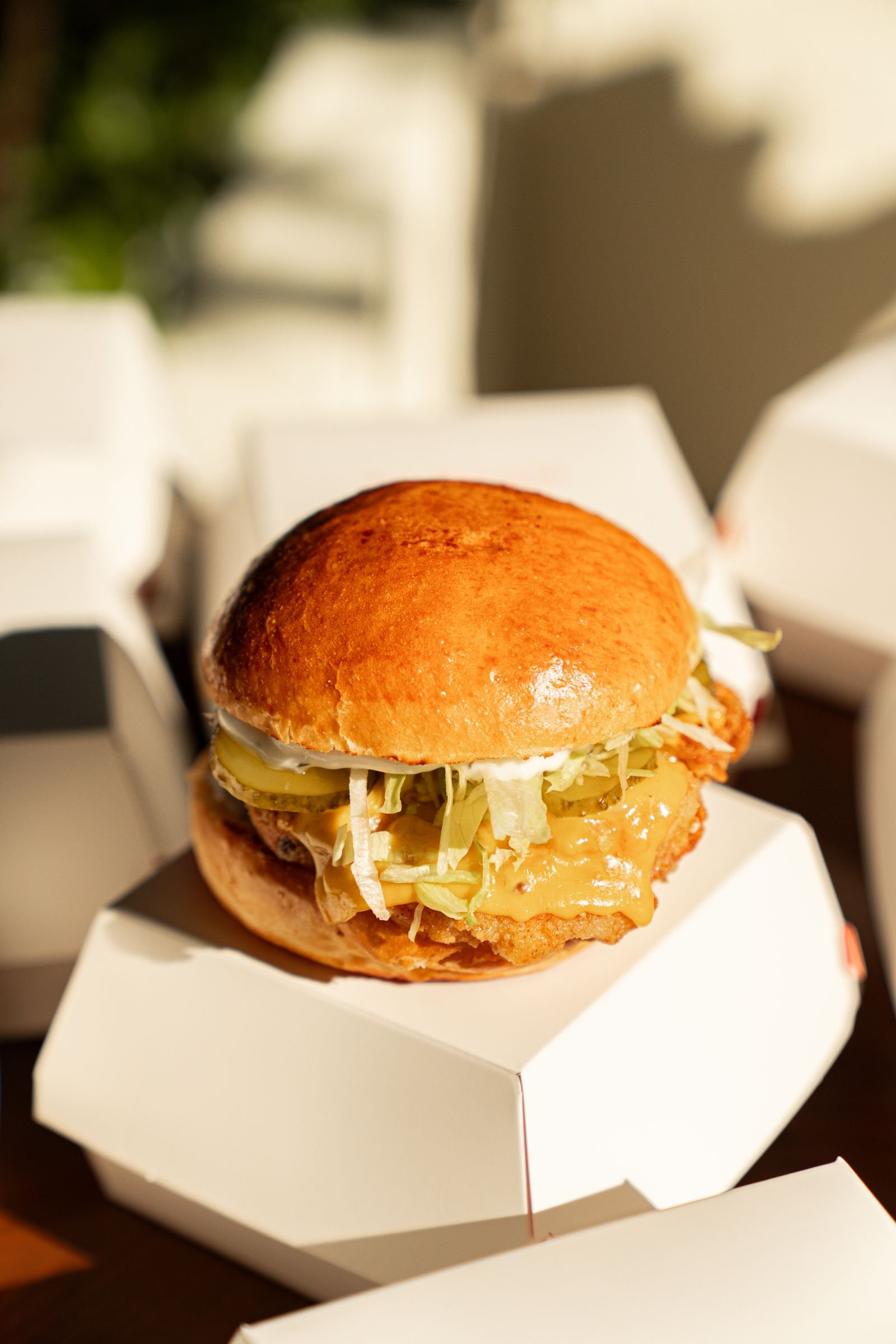 Crispy Chicken Burger with Pickles and Slaw