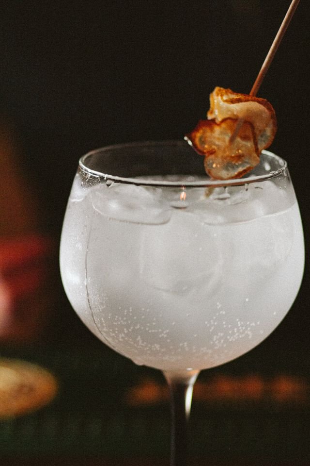 Gin and Tonic with Dried Fruit