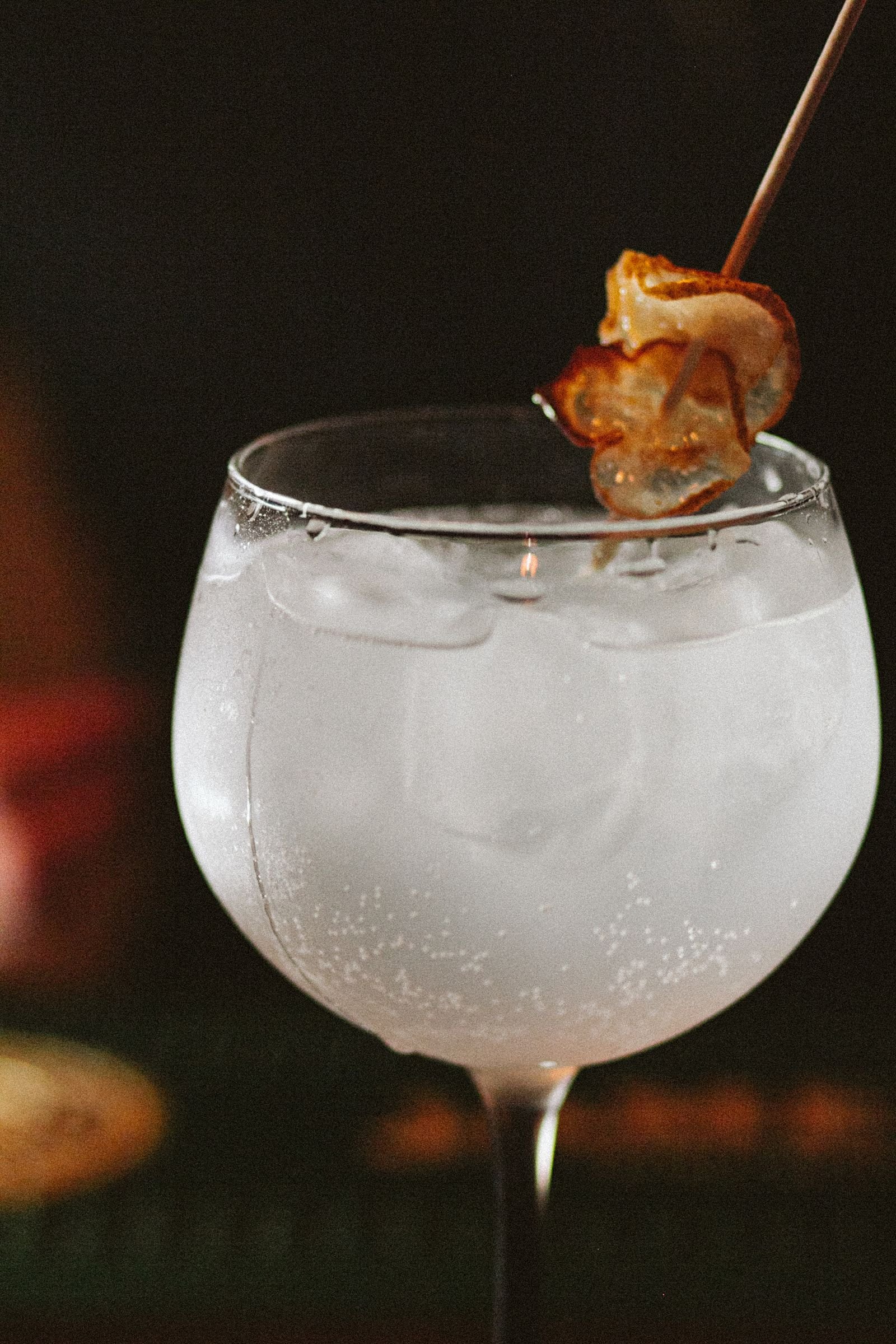 Gin and Tonic with Dried Fruit