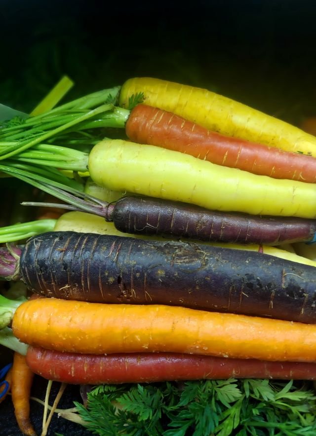 Heirloom carrots