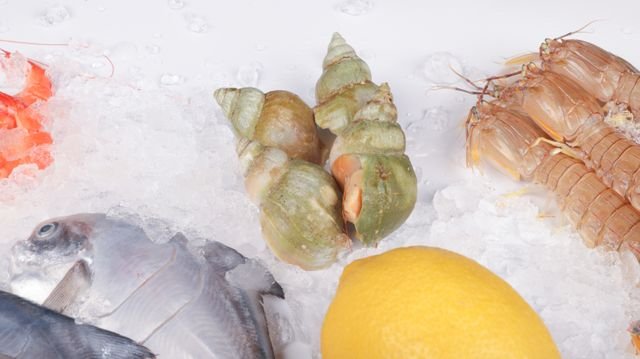 Shellfish on ice with lemon